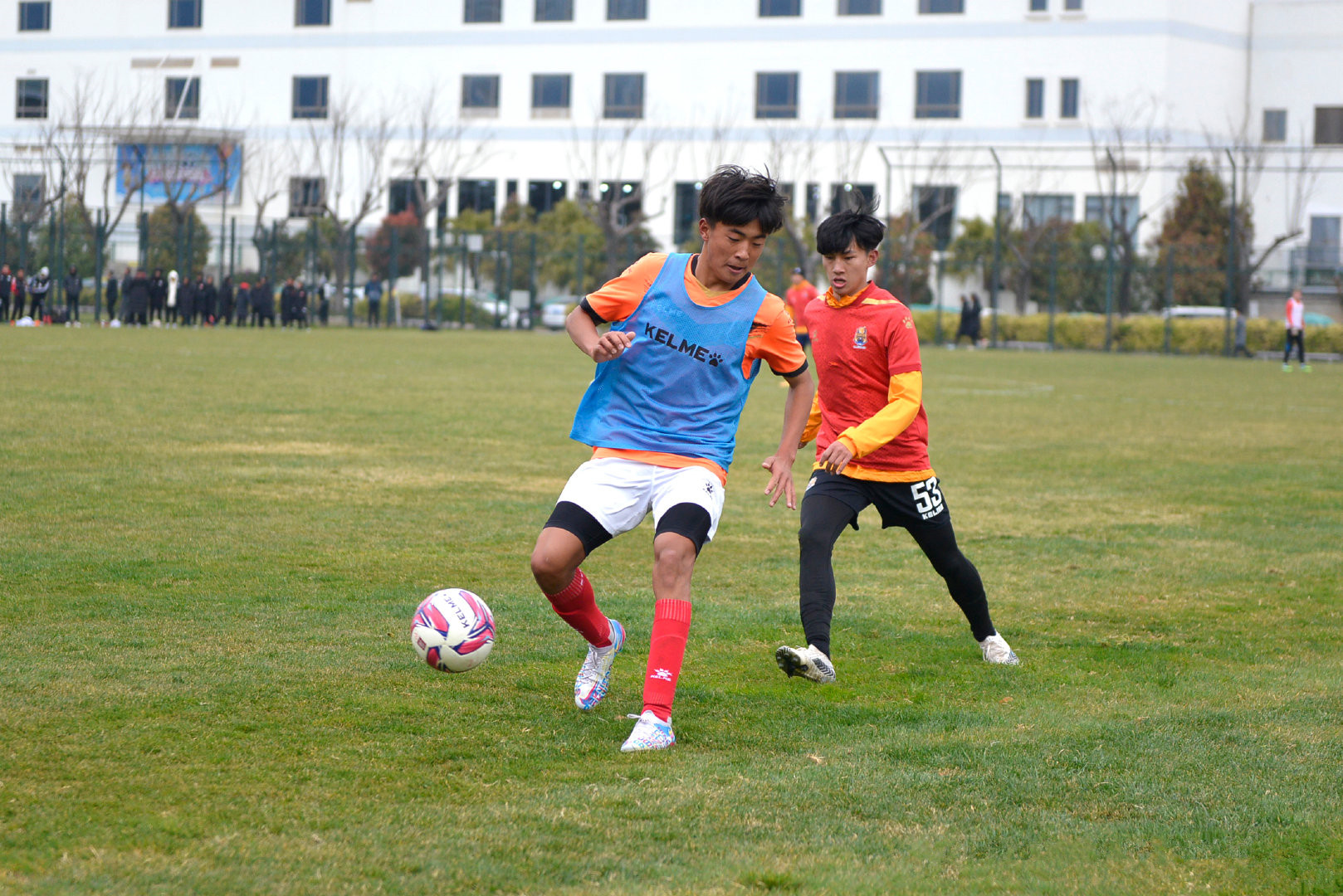 达拉斯独行侠队直播